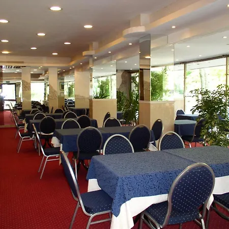 Palace Hotel Cesenatico