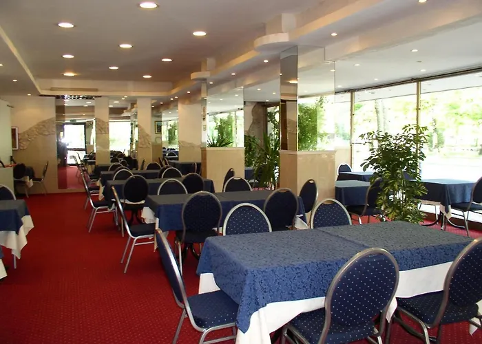 Palace Hotel Cesenatico