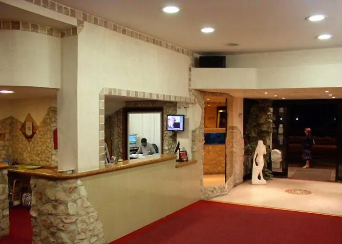 Palace Hotel Cesenatico